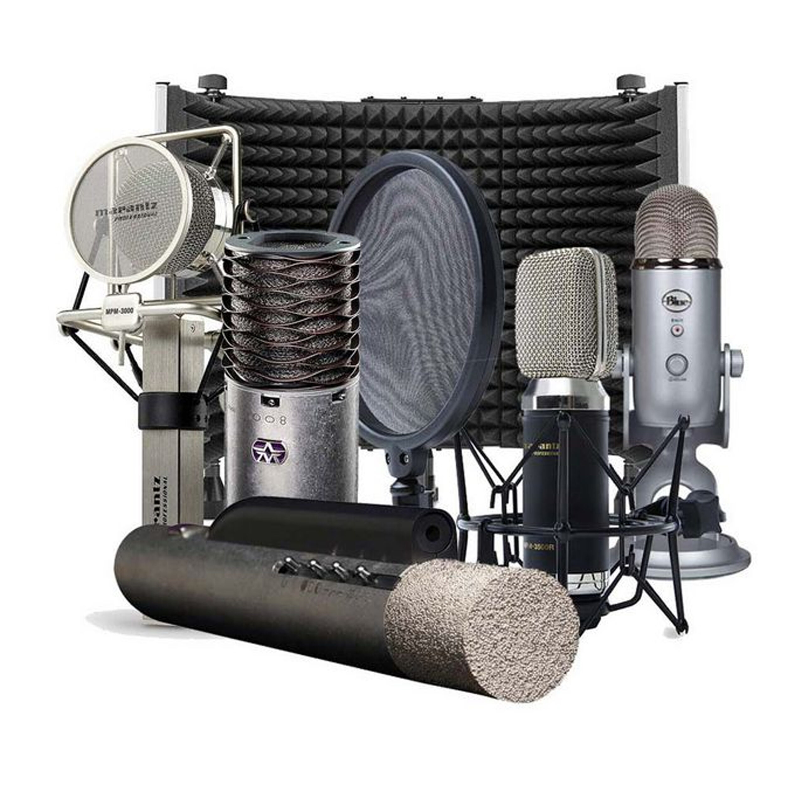 Mics & Accessories