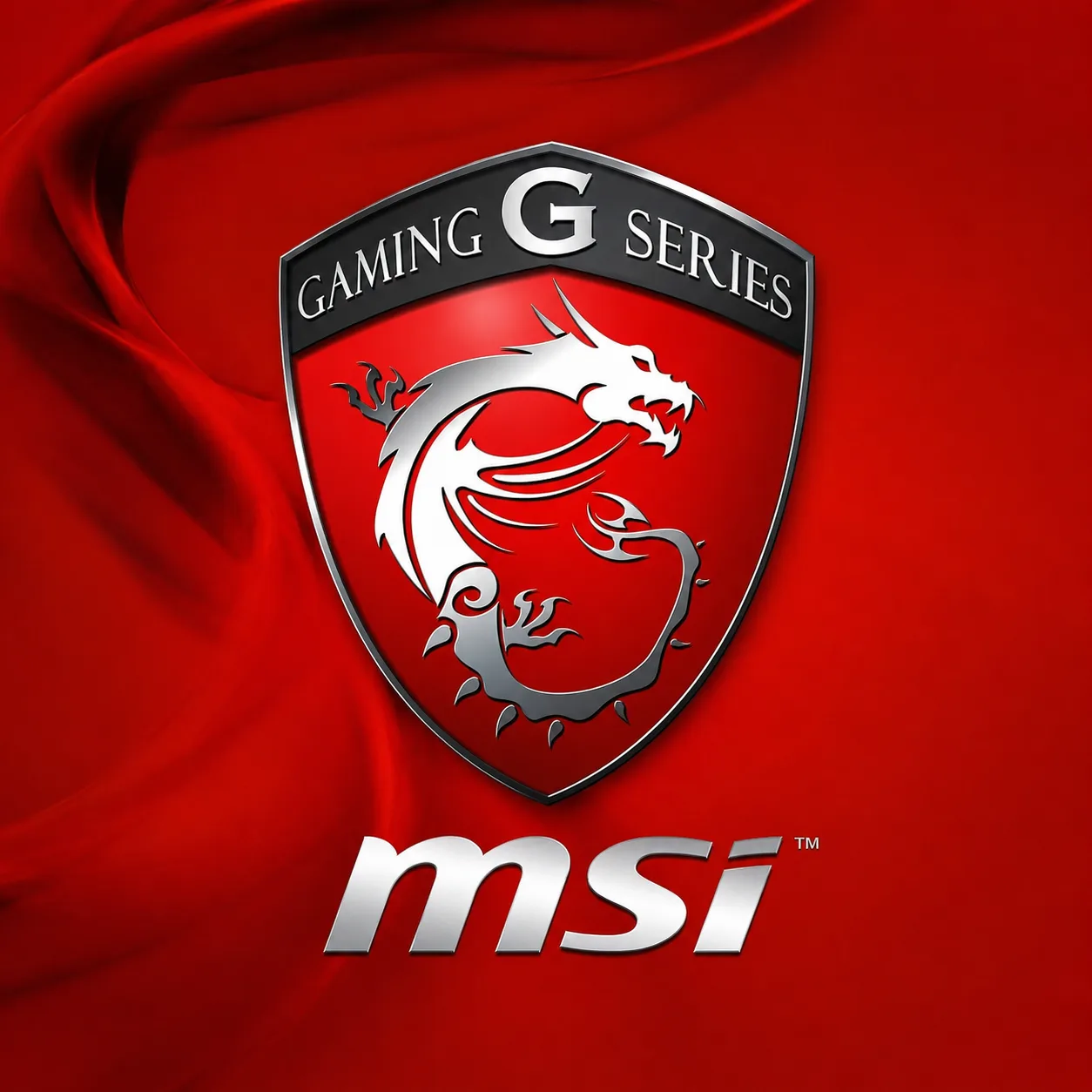 MSI logo
