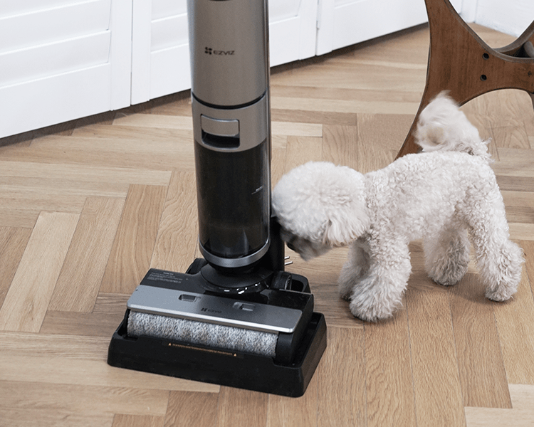 EZVIZ Smart Cordless Wet & Dry Vacuum Cleaner - CS-RH2-MGA3 thumbnail 3