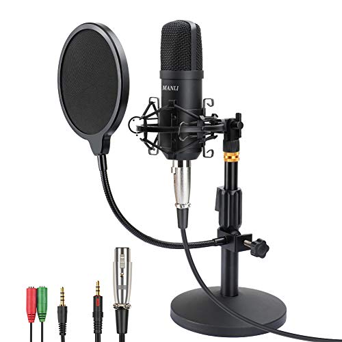 PROFESSIONAL CONDENSER MICROPHONE