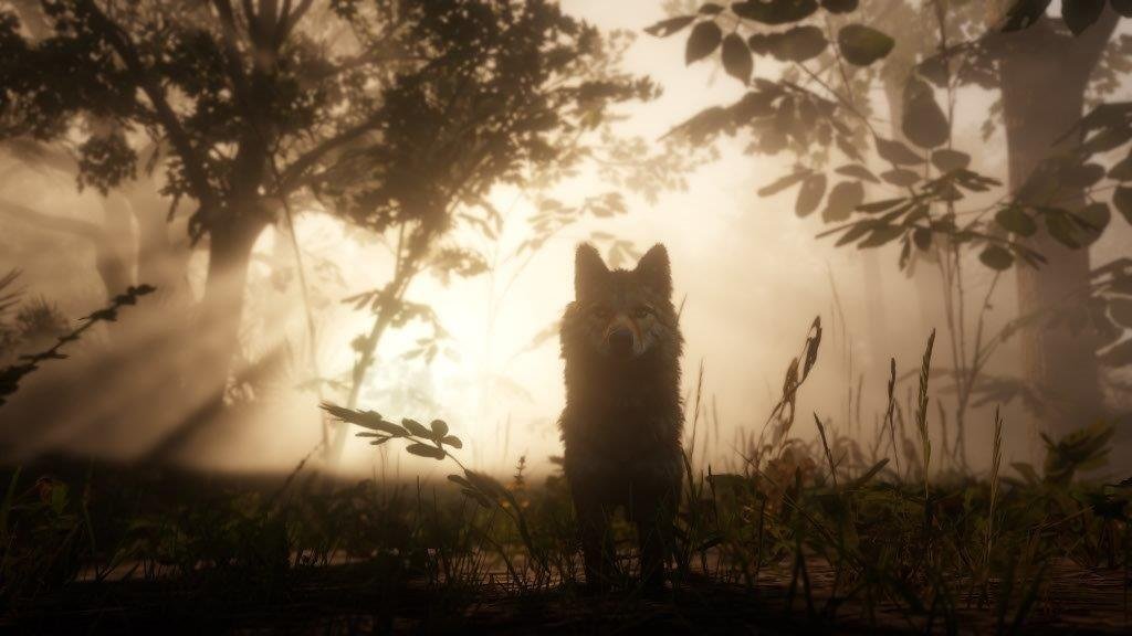 MICROSOFT XBOX SERIES RED DEAD REDEMPTION II GAME CD thumbnail 8