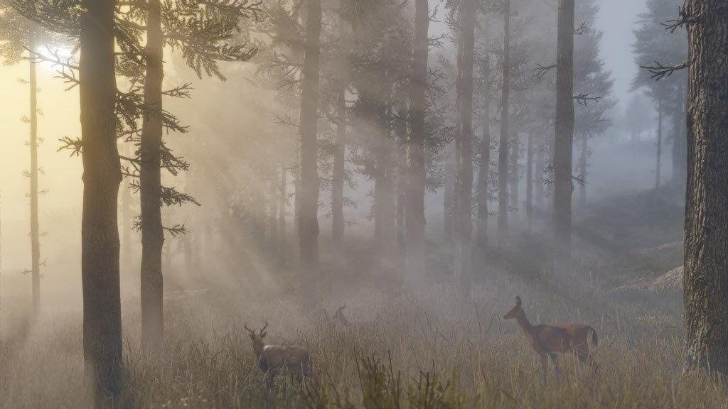 MICROSOFT XBOX SERIES RED DEAD REDEMPTION II GAME CD thumbnail 6