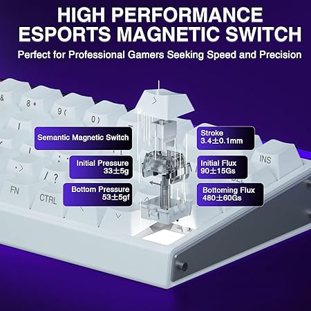 AULA 68 KEYS RGB 65% WIRED MECHANICAL GAMING KEYBOARD  METEOR SWITCH WHT-GRY-BL HERO68HE thumbnail 8