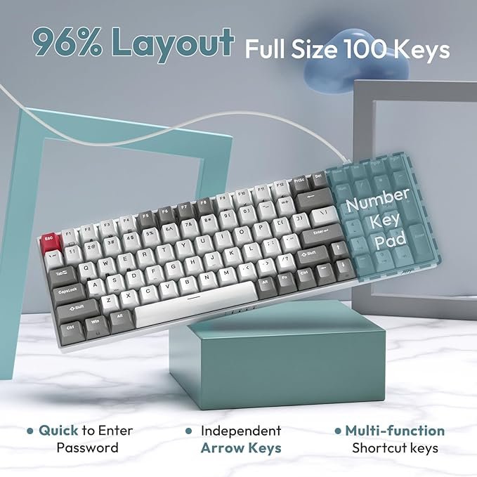 Royal Kludge RGB Tri-Mode Hot-Swap Gaming Keyboard - RK100 thumbnail 6