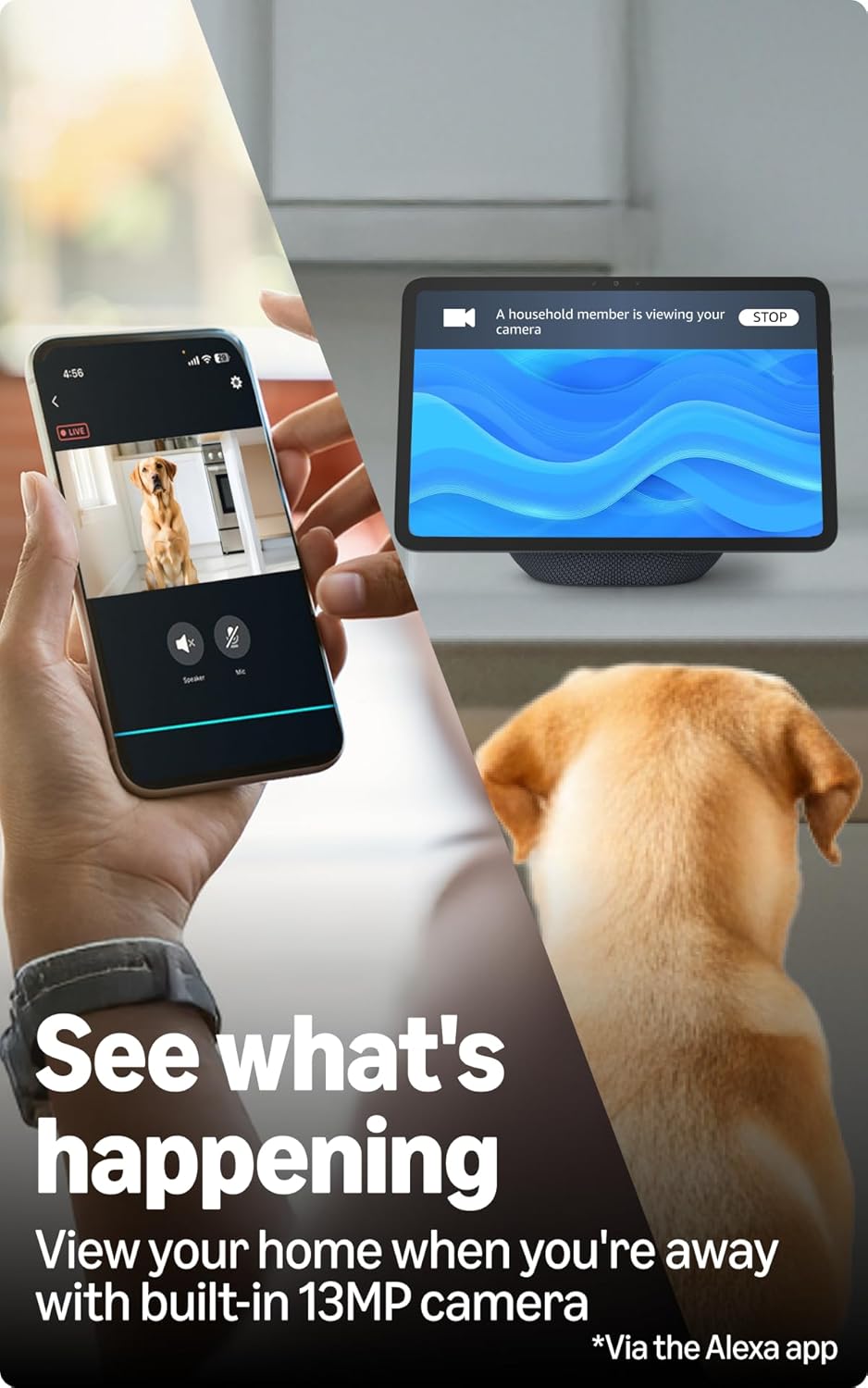 AMAZON ECHO SHOW 11TH GEN SMART DISPLAY WITH ALEXA+ GRAPHITE thumbnail 5