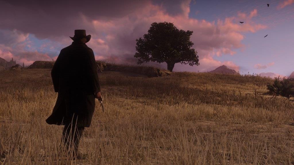 MICROSOFT XBOX SERIES RED DEAD REDEMPTION II GAME CD thumbnail 10