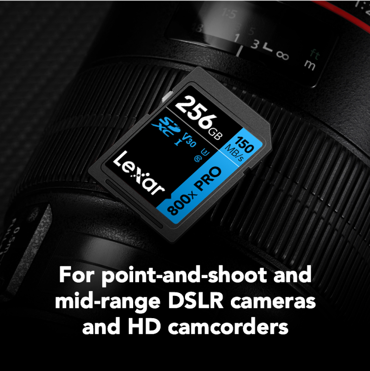 Lexar Professional 800x SDXC™ UHS-I Memory Card - Up to 150MB/s, High-Speed Storage for Photography and Video thumbnail 8