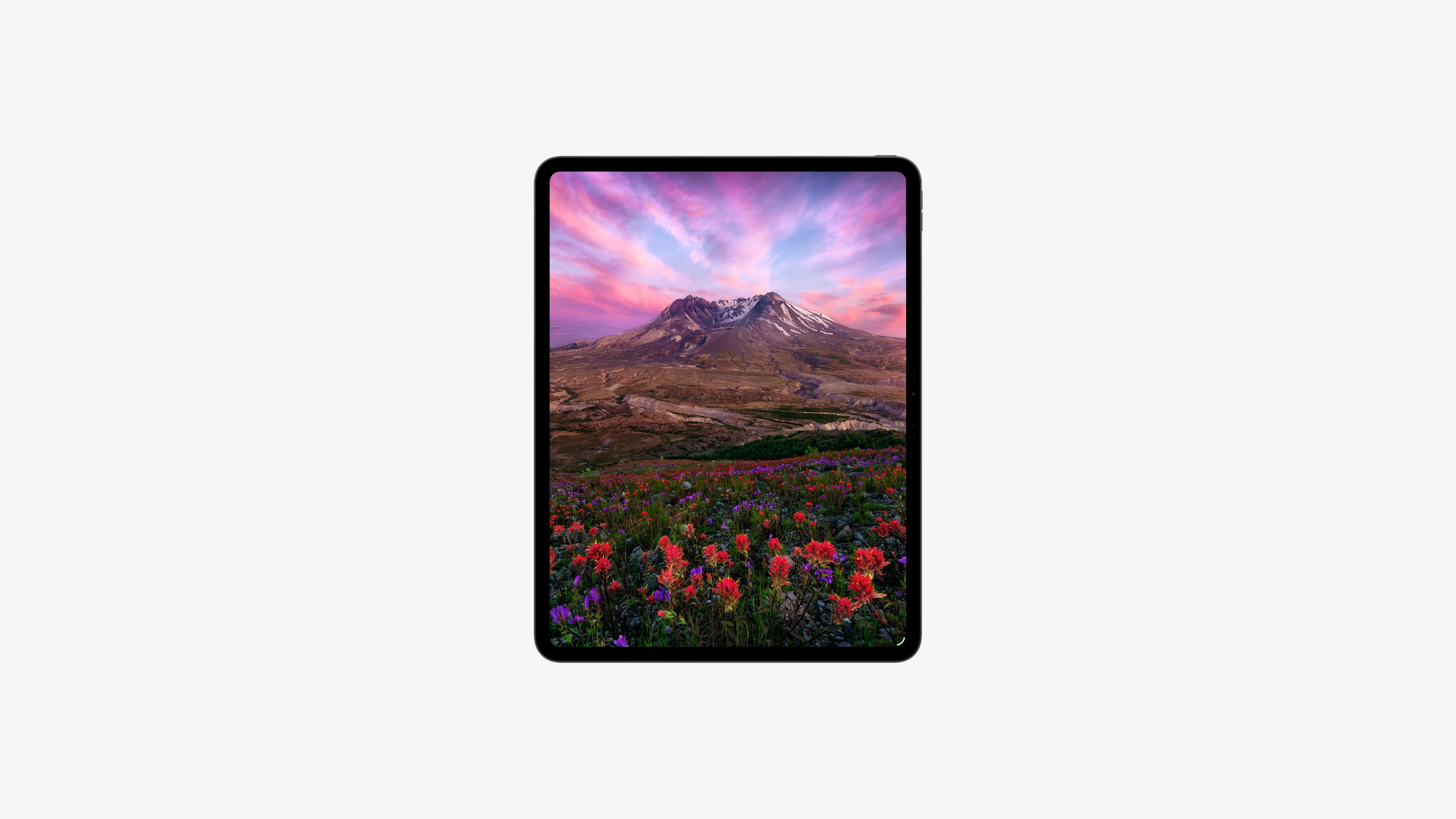 APPLE IPAD PRO 11 INCH M5 WIFI + CELLULAR 1TB SPACE BLACK ME2U4 thumbnail 4