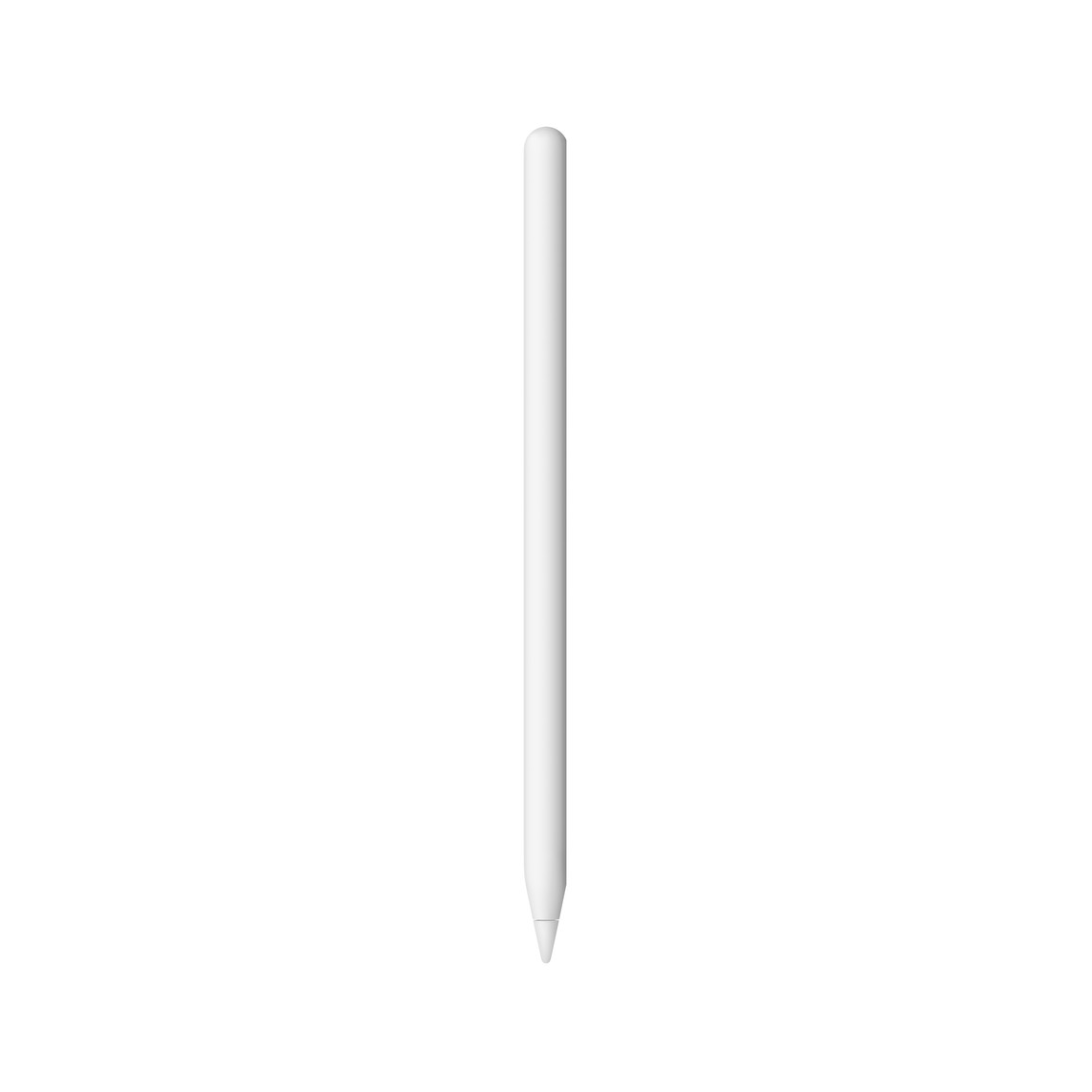 Apple Pencil ホワイト MXN43 J/A Apple Pencil 2nd Generation MXN43 for iPad
