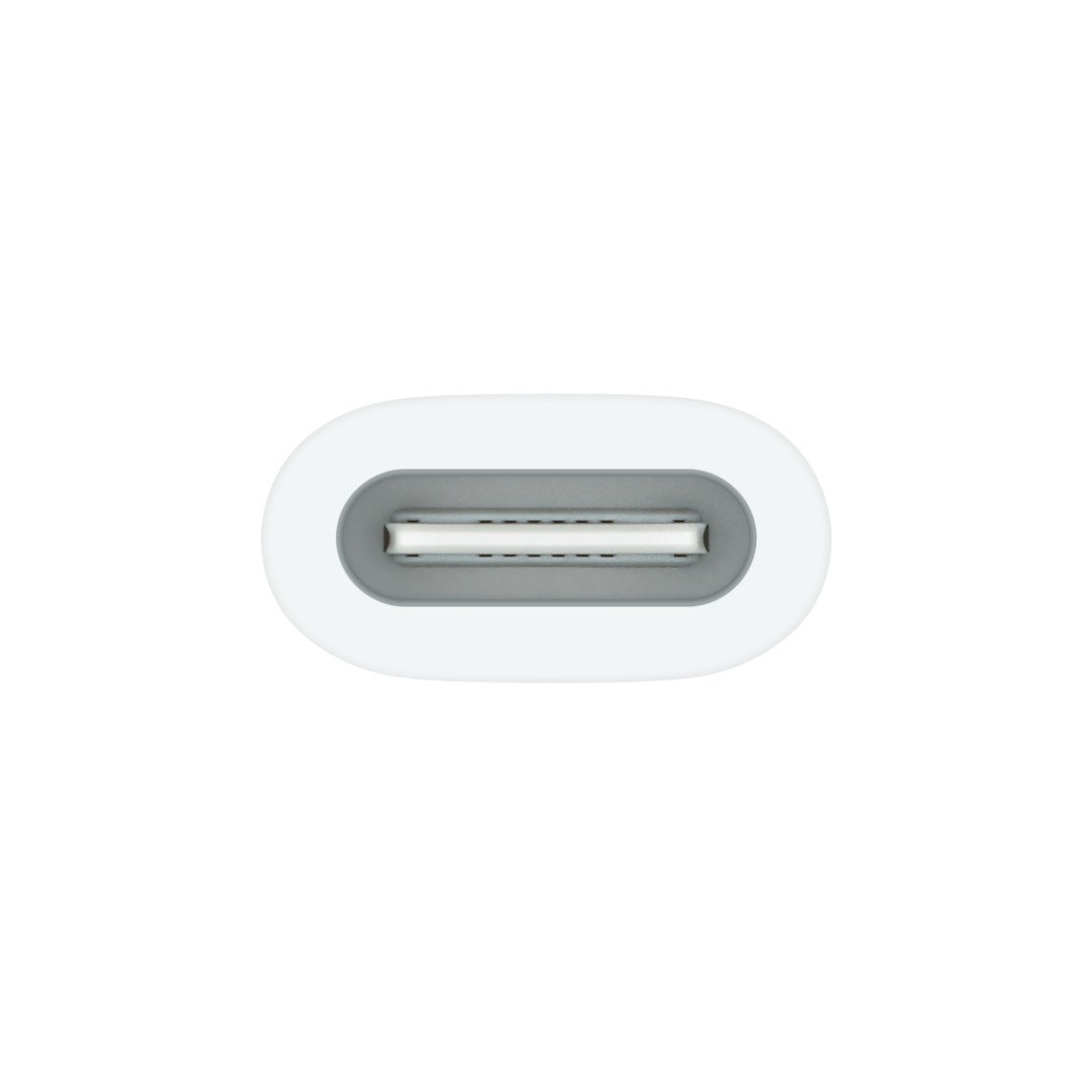 Apple USB-C to Apple Pencil Adapter (MWML3) - Connect Your Apple Pencil to USB-C Devices thumbnail 2