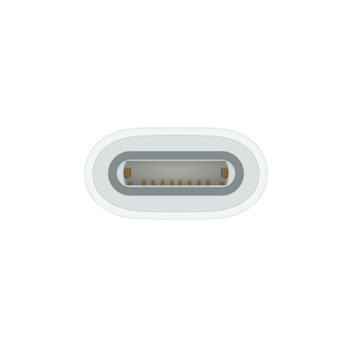 Apple USB-C to Apple Pencil Adapter (MWML3) - Connect Your Apple Pencil to USB-C Devices thumbnail 3