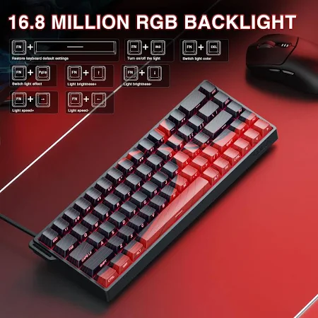 AULA 68 KEYS RGB 65% WIRED MECHANICAL GAMING KEYBOARD WING CHUN MAGNETIC SWITCH BLACK WIN68 thumbnail 4