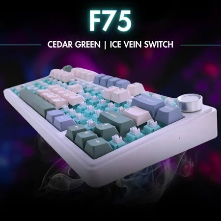 AULA 75 KEYS RGB 75% MECHANICAL GAMING KEYBOARD TRI-MODE KNOB V3 GREY SWITCH F75 thumbnail 4