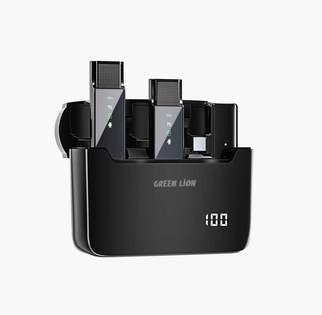 GREEN LION 2 IN 1 DIGITAL DISPLAY MICROPHONE ( TYPE-C CONNECTOR )BLACK GN2IN1DDMTCBK