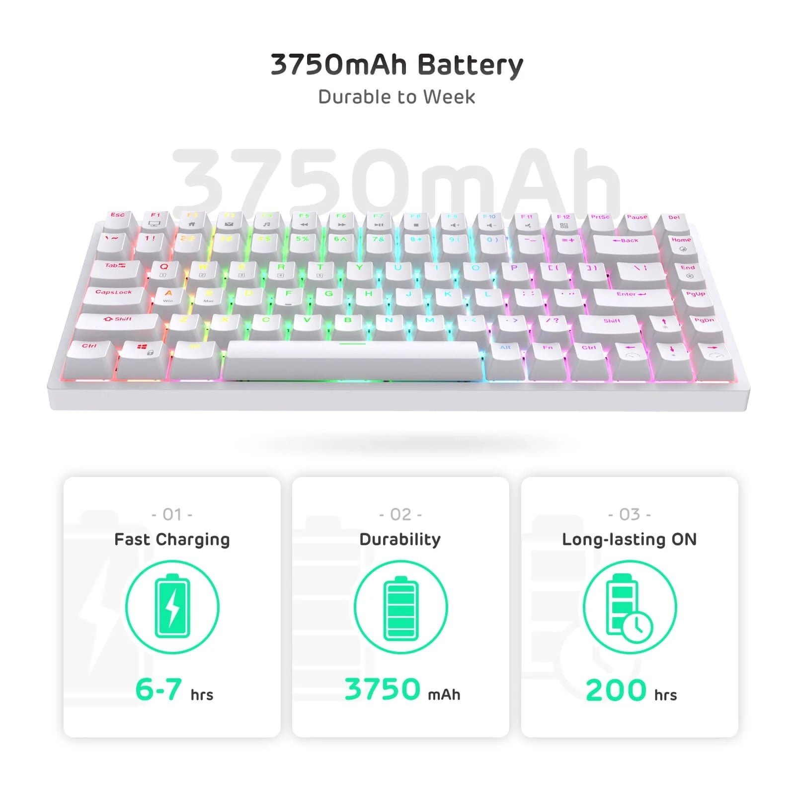 ROYAL KLUDGE GAMING KEYBOARD RGB TRI MODE HOT PLUG BLUE SWITCH WHITE RK84 thumbnail 5
