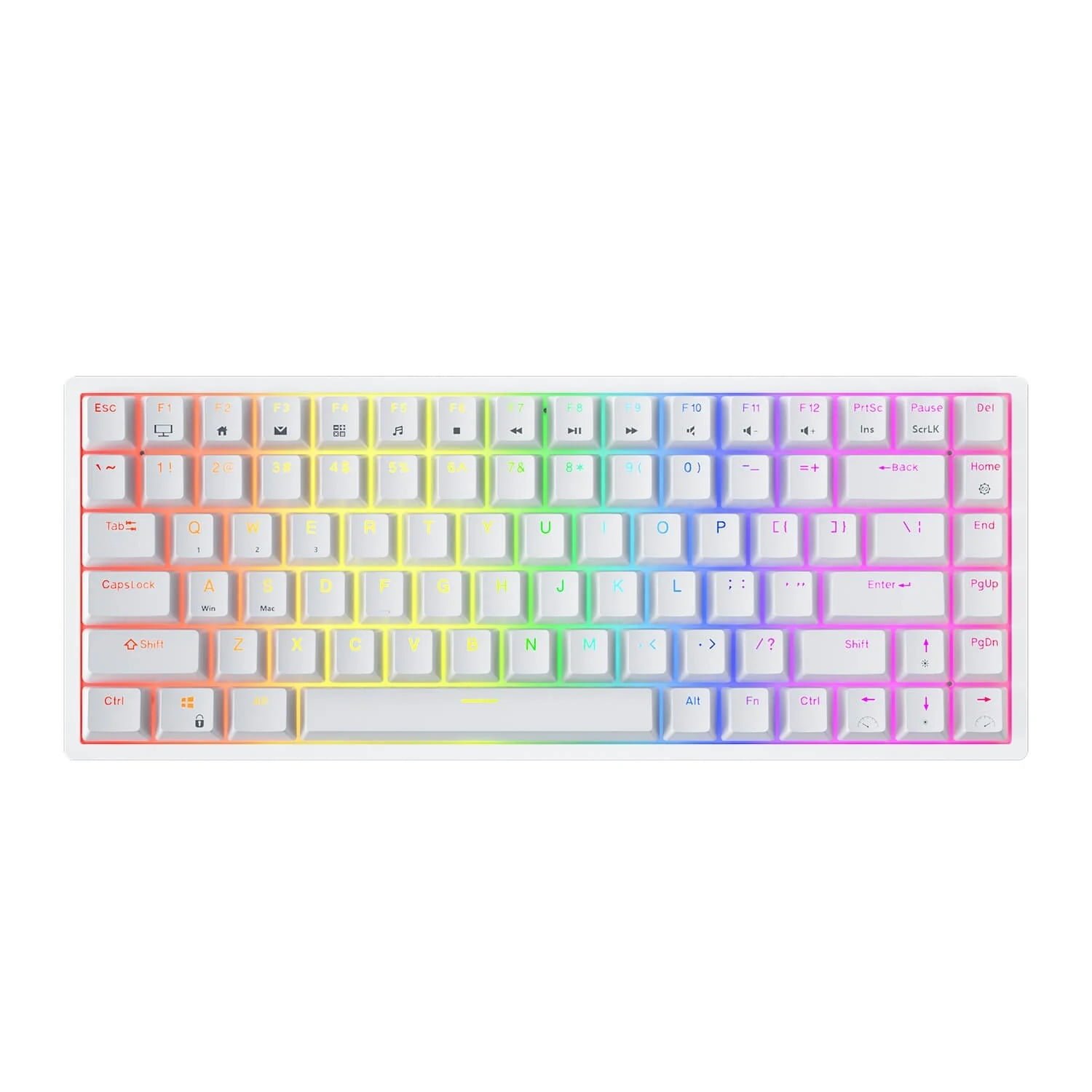ROYAL KLUDGE GAMING KEYBOARD RGB TRI MODE HOT PLUG BLUE SWITCH WHITE RK84 thumbnail 7