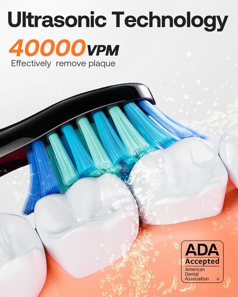 Bitvae Toothbrush Bundle: 8 Heads, Travel Case, Holder, Headcap - Black BV-D2 thumbnail 4