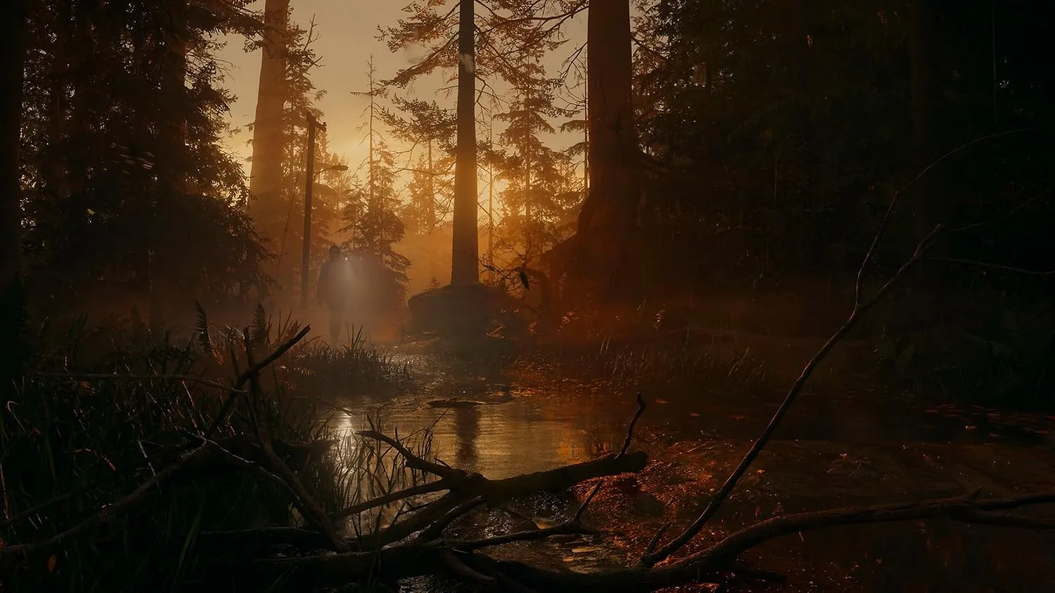 SONY PS5 ALAN WAKE 2 DLX EDN GAME CD thumbnail 7