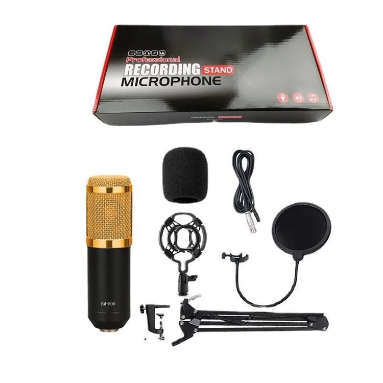 PROFESSIONAL RECORDING STAND MICROPHONE