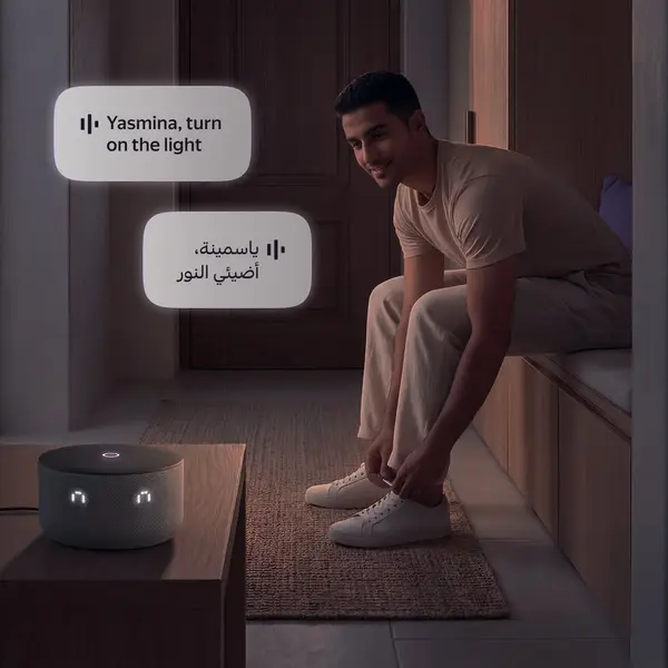 YASMINA MINI AI SPEAKER GRAY Y-00027 thumbnail 6