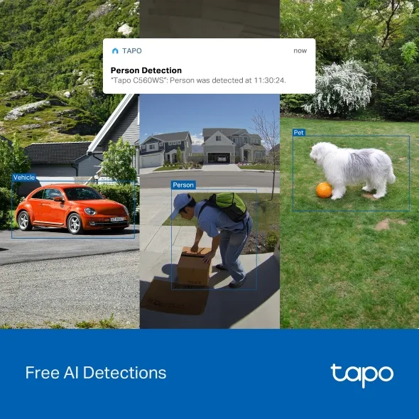 TP-LINK TAPO 4K ULTRA HD OUTDOOR PAN-TILT SECURITY WI-FI CAMERA TAPO C560WS thumbnail 6