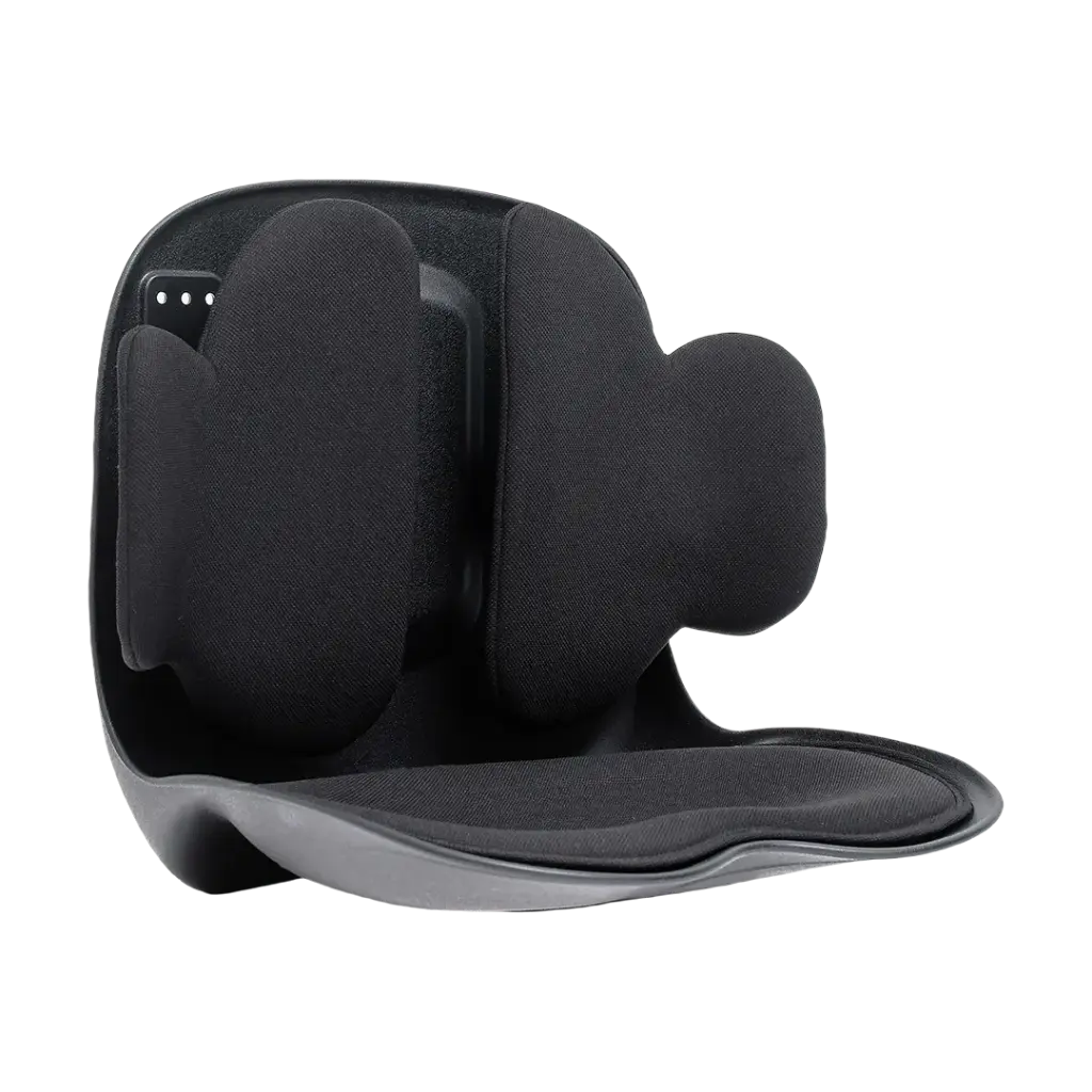 GREEN LION LUMBAR PRO ADJUSTABLE BACK SUPPORT BLACK GNLUMPRBK thumbnail 2