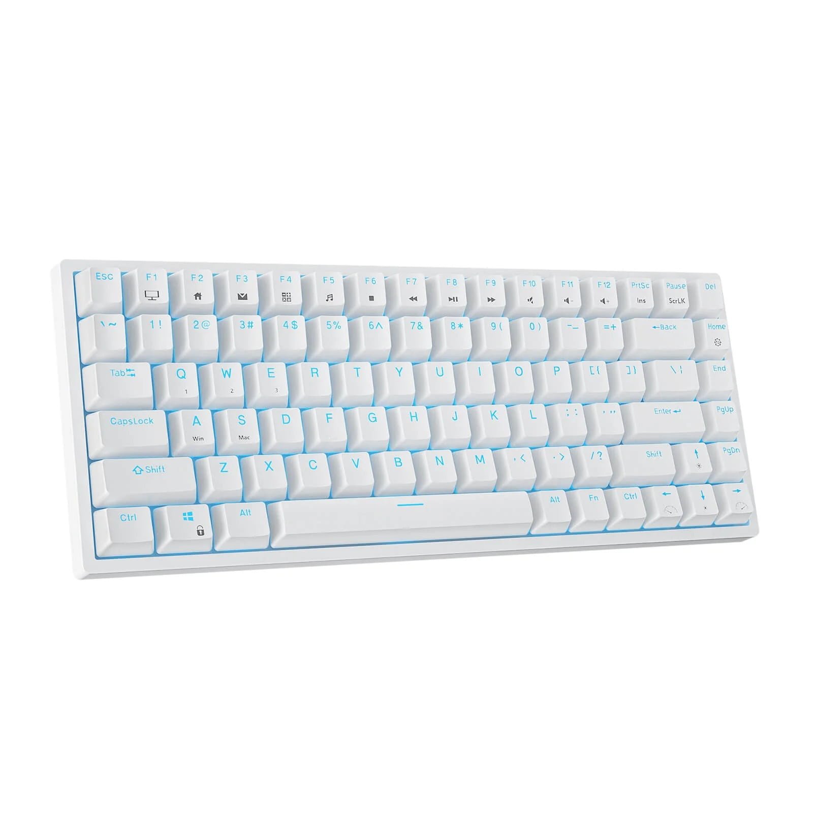 ROYAL KLUDGE GAMING KEYBOARD RGB TRI MODE HOT PLUG BROWN SWITCH WHITE RK84 thumbnail 2