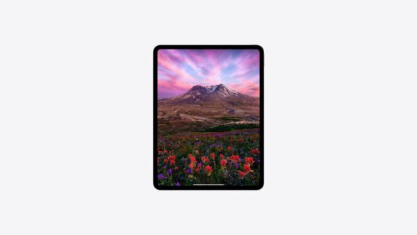 Apple iPad Pro 11/13 Inch (M4) WiFi + Cellular 1TB - Nano Texture Glass - Image 6