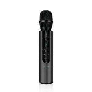 Green Lion Karaoke Microphone - Sing with Superior Sound Quality